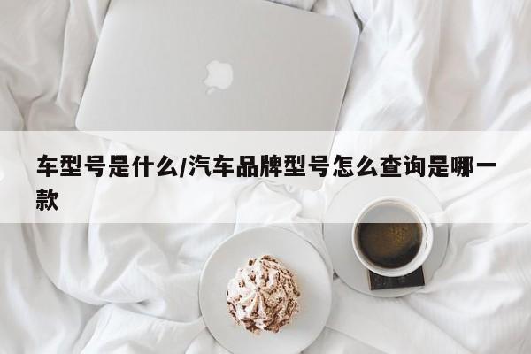 车型号是什么/汽车品牌型号怎么查询是哪一款