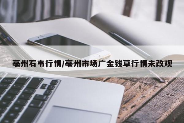 亳州石韦行情/亳州市场广金钱草行情未改观