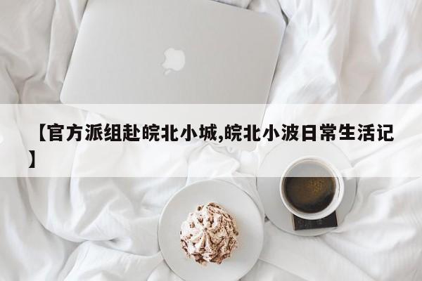 【官方派组赴皖北小城,皖北小波日常生活记】