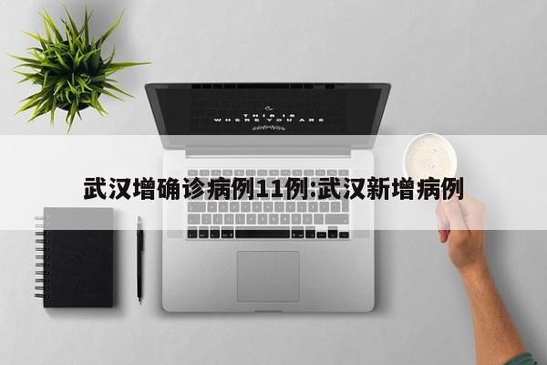 武汉增确诊病例11例:武汉新增病例