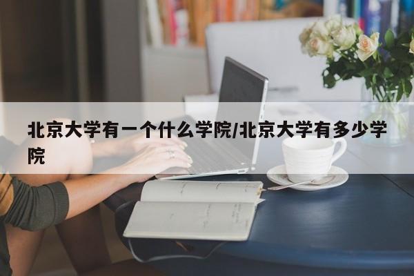 北京大学有一个什么学院/北京大学有多少学院