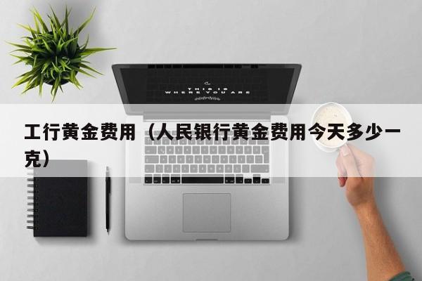 工行黄金费用(人民银行黄金费用今天多少一克)