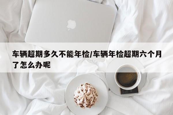 车辆超期多久不能年检/车辆年检超期六个月了怎么办呢