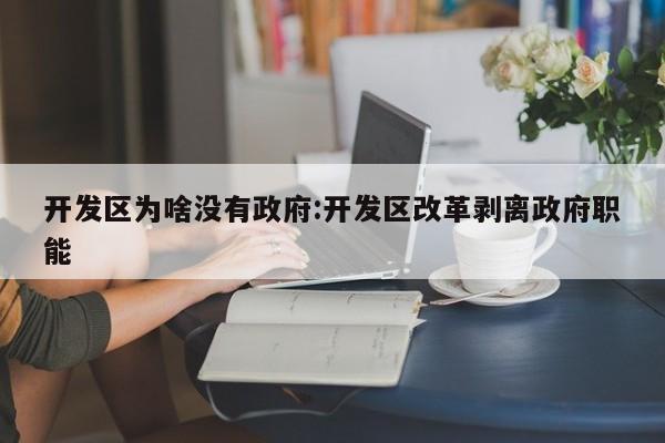 开发区为啥没有政府:开发区改革剥离政府职能
